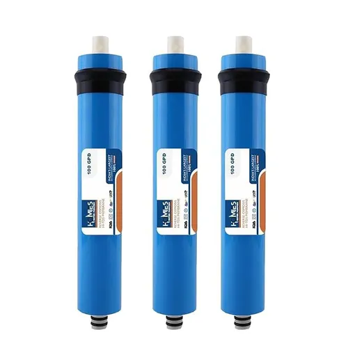 RO membrane inspection and replacement service
